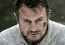 Liam Neeson