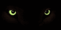 Panther Design