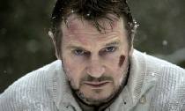 Liam Neeson