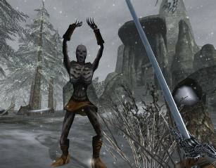 The Elder Scrolls